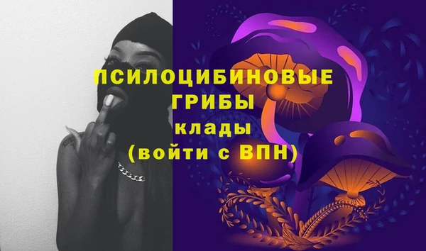 мет Армянск
