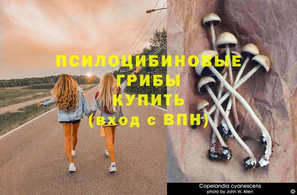 мет Армянск